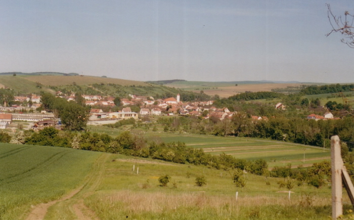 Vyklízení Louka